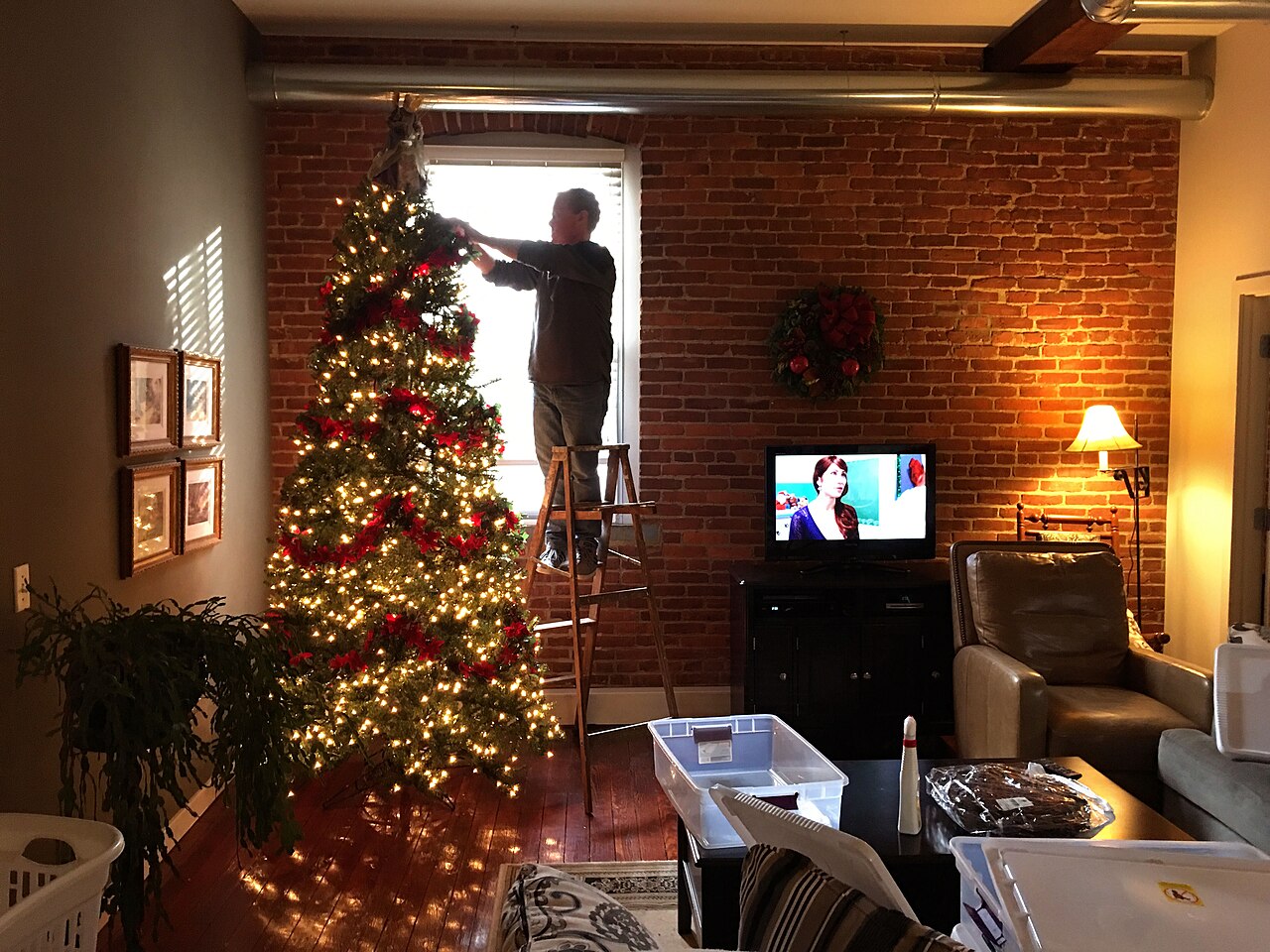 Person on a ladder decorating a Christmas tree in a living room